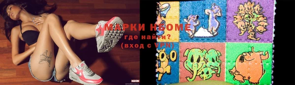 хмурый Козельск