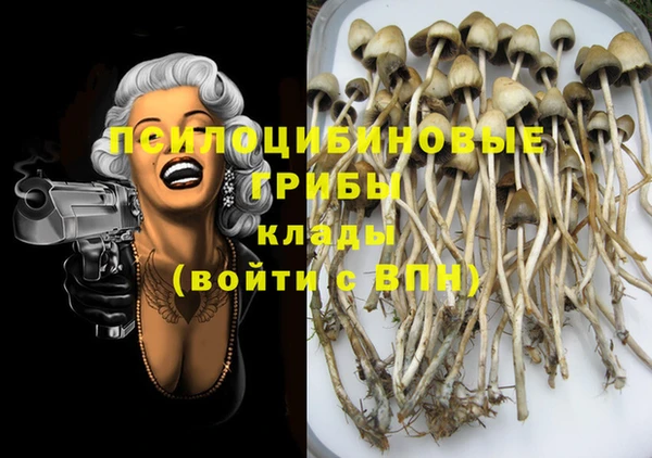 эйфоретик Кодинск